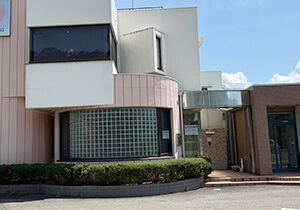 出社／申し送り・訪問準備